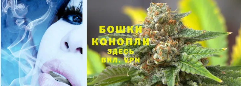 дарк нет Telegram  Жиздра  Бошки марихуана White Widow 